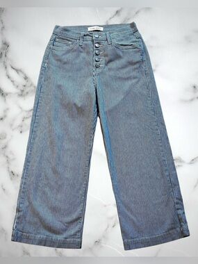 Flying Monkey Blue Striped Wide Leg Crop Jeans 25 High rise Button fly Y2917